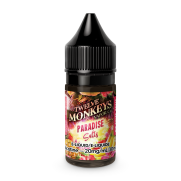 Paradise SALT - Twelve Monkeys E-Liquid