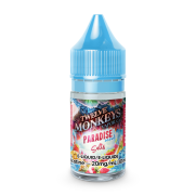 Paradise Iced SALT Twelve Monkeys E-Liquid